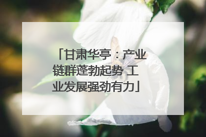 甘肃华亭：产业链群蓬勃起势 工业发展强劲有力